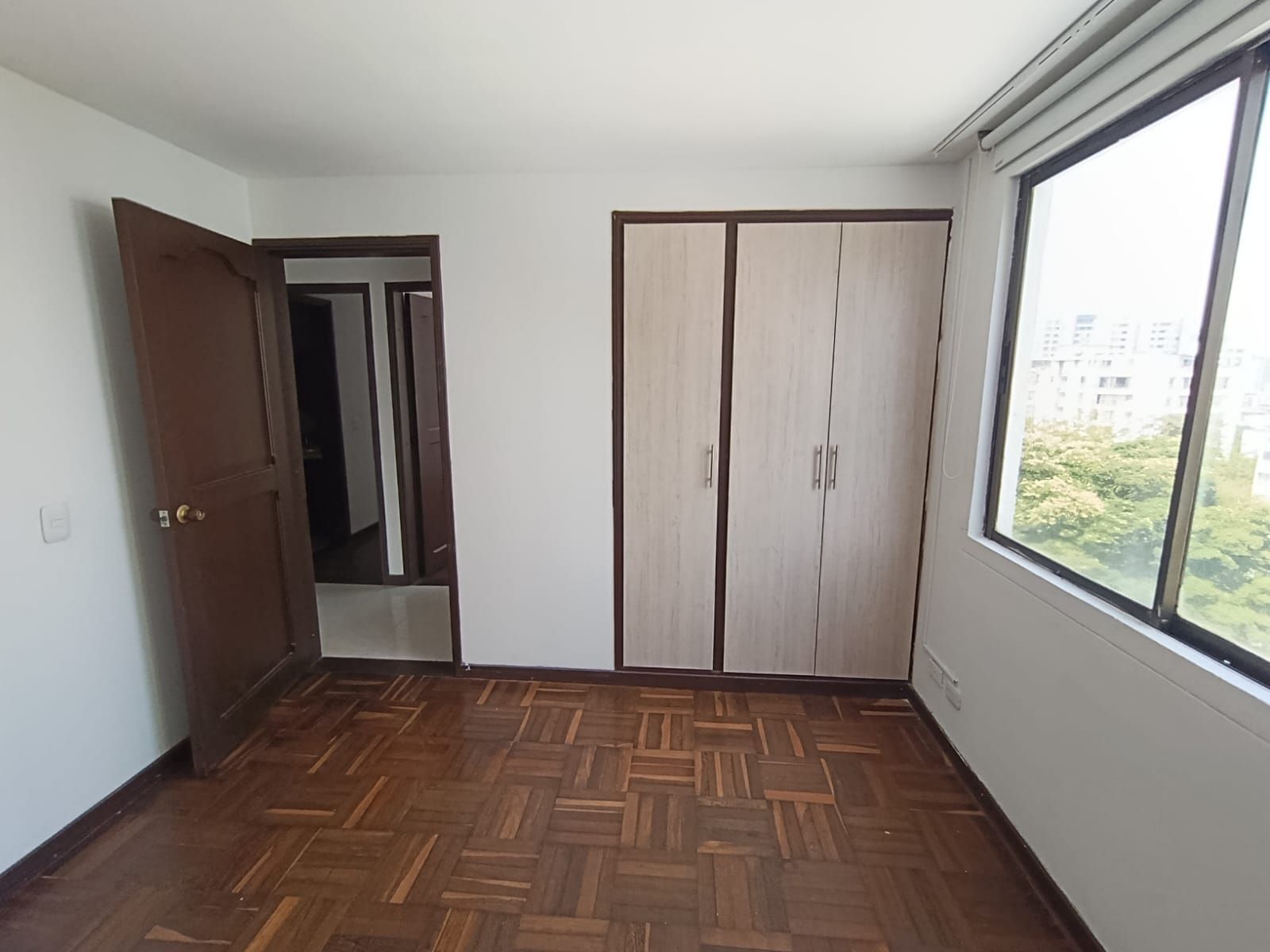 Miniatura 12